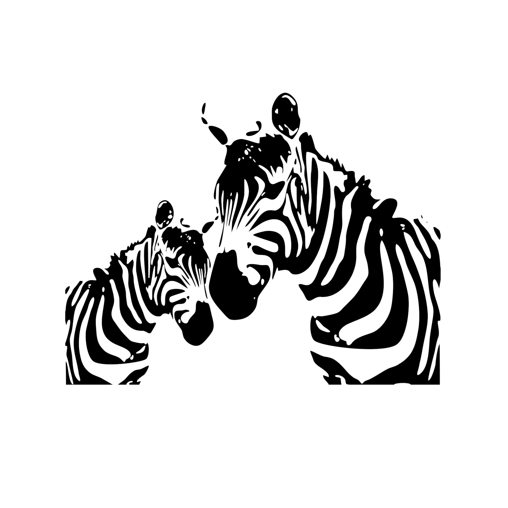 Zebra Duo